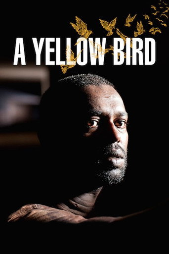 Постер фильма «A Yellow Bird»