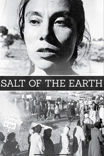 Poster for “Salt of the Earth”