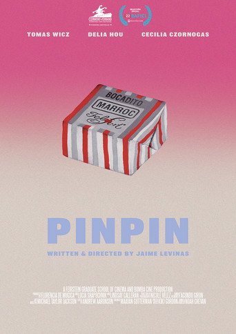 Постер фильма «PINPIN»