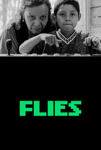Poster for “Flies”