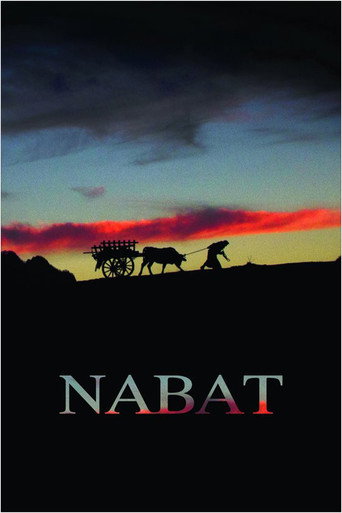 Poster for “Nabat”