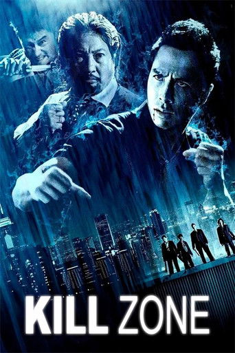 Poster for “SPL: Kill Zone”
