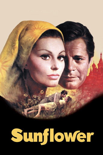 Poster for “Sunflower”