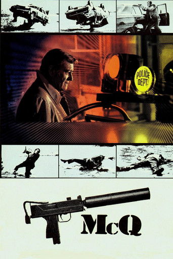 Poster for “McQ”