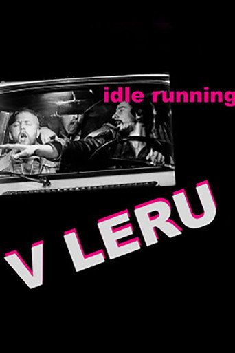 Постер фильма «V leru»
