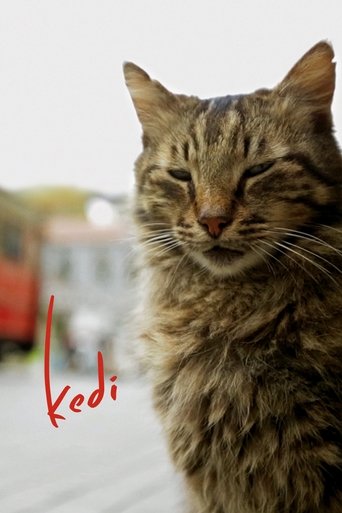 Poster for “Kedi”