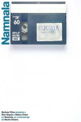 Постер фильма «Namnala»