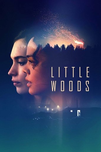 Poster for “Little Woods”