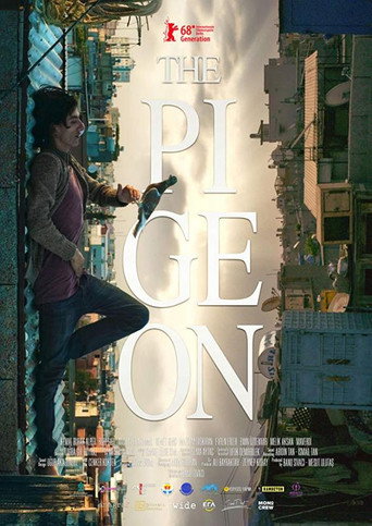 Poster for “The Pigeon”