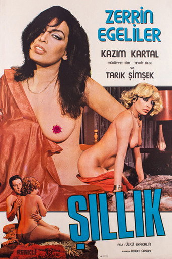 Постер фильма «Şıllık»