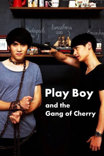 Постер фильма «PlayBoy (and the Gang of Cherry)»