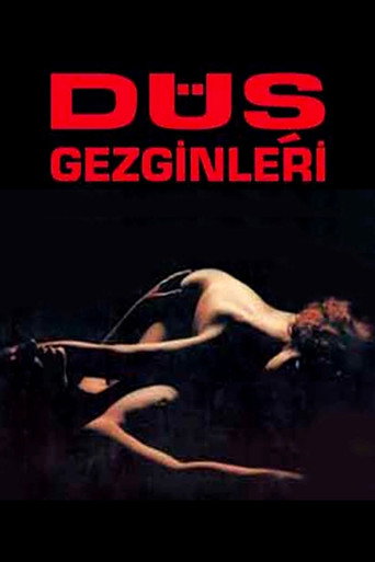 Постер фильма «Düş Gezginleri»