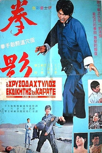 Постер фильма «拳影»