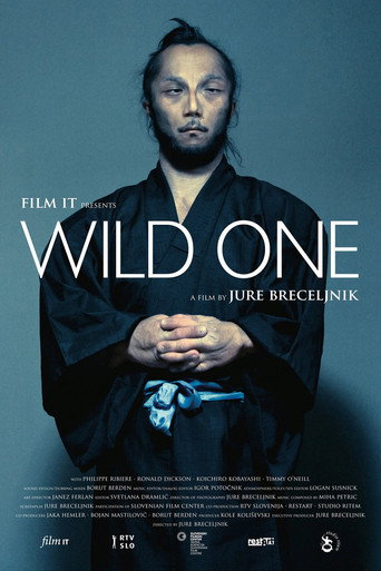 Poster for “Wild One”