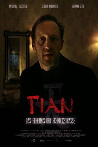 Постер фильма «Тиан – тайна Шмукштрассе»