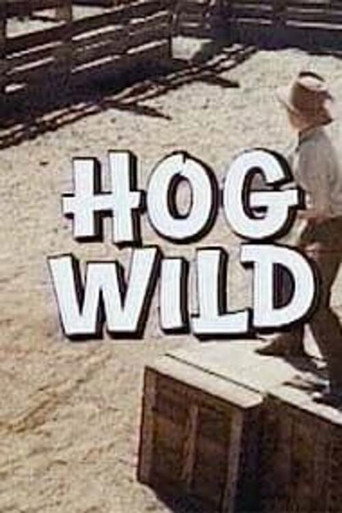 Poster for “Hog Wild”
