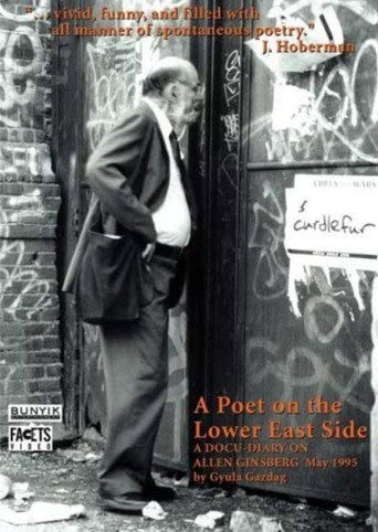 Постер фильма «Ginsberg - egy költö a Lower East Side-ról»