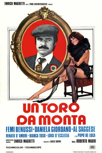 Poster for “A Bull for Mounts”