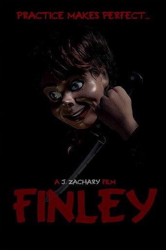 Постер фильма «Finley»