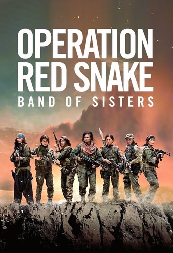 Poster for “Sisters in Arms”