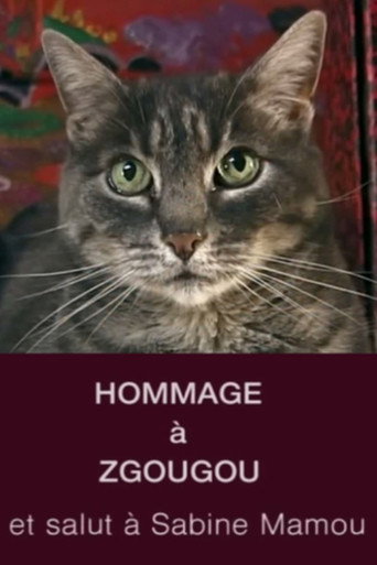 Poster for “Tribute to Zgougou the Cat”