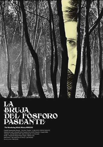 Poster for “The Wandering Witch”