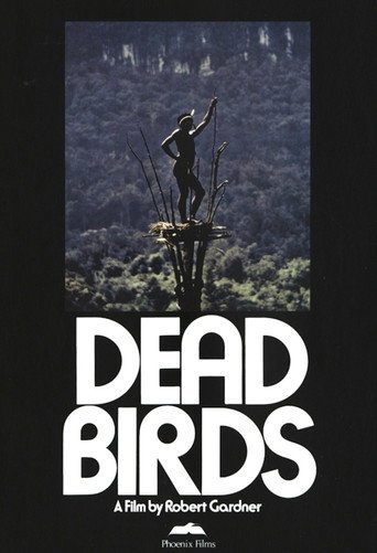 Постер фильма «Dead Birds»
