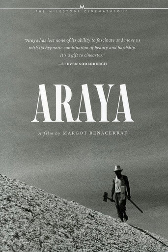 Постер фильма «Araya»