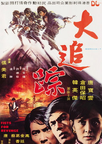 Постер фильма «大追踪»