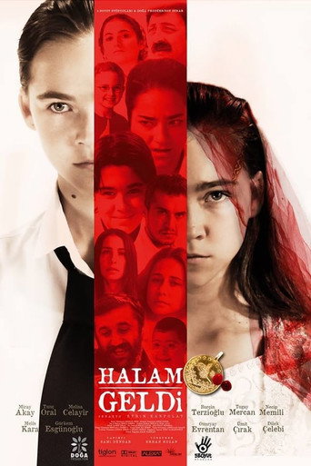 Постер фильма «Halam Geldi»