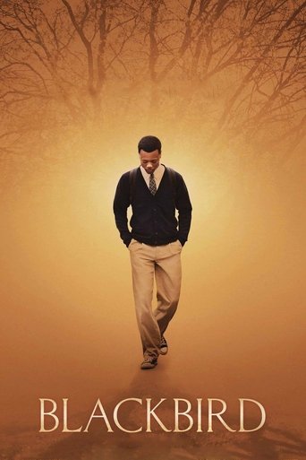 Poster for “Blackbird”