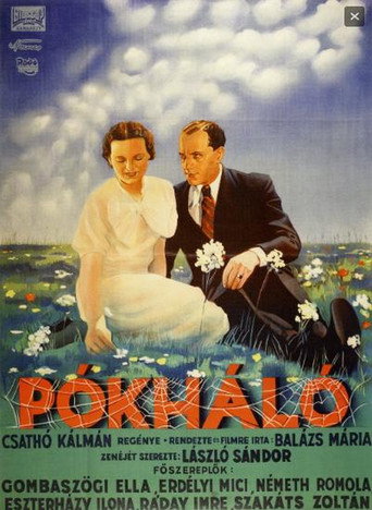 Poster for “Cobweb”