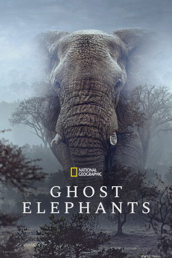 Poster for “Ghost Elephants”