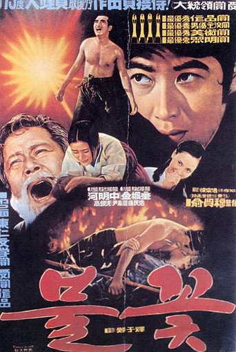 Постер фильма «불꽃»