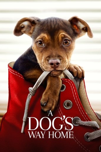 Poster for “A Dog's Way Home”