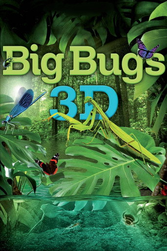 Poster for “Big Bugs”