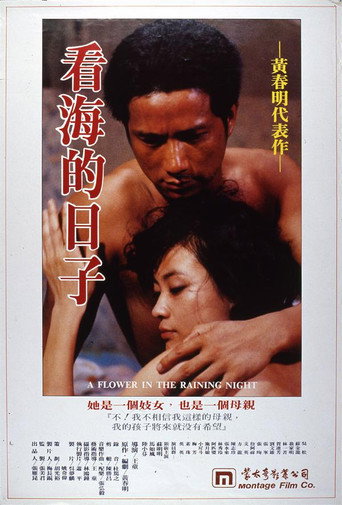 Постер фильма «看海的日子»