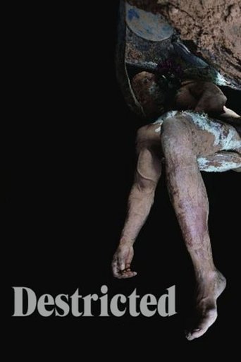 Poster for “Destricted”