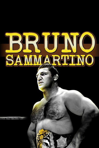 Poster for “Bruno Sammartino”