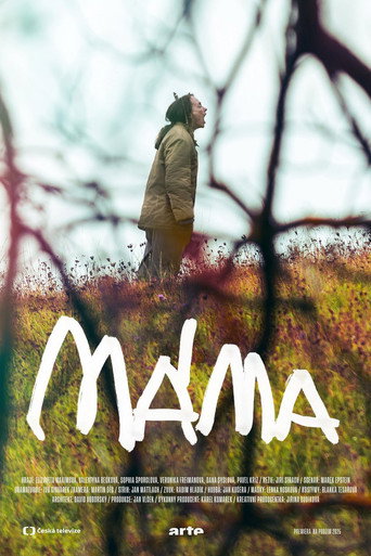 Постер фильма «Máma»