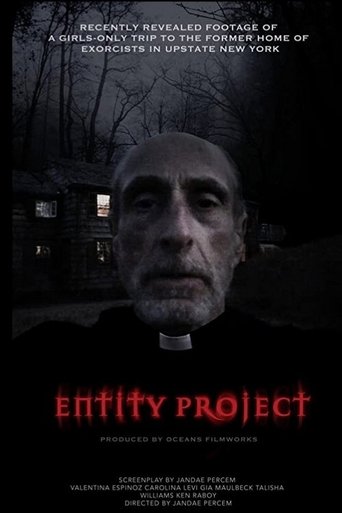 Постер фильма «Entity Project»