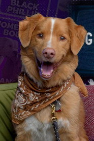 Photo of Indy