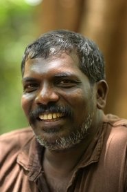 Фото: Pramod Veliyanad