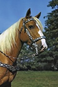 Photo of Trigger