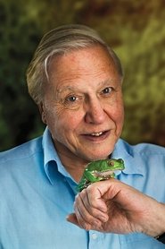 Фото: David Attenborough