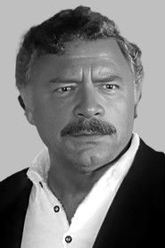 Photo of Nikša Stefanini