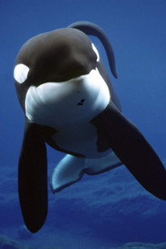 Photo of Keiko