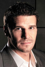 Photo of David Boreanaz